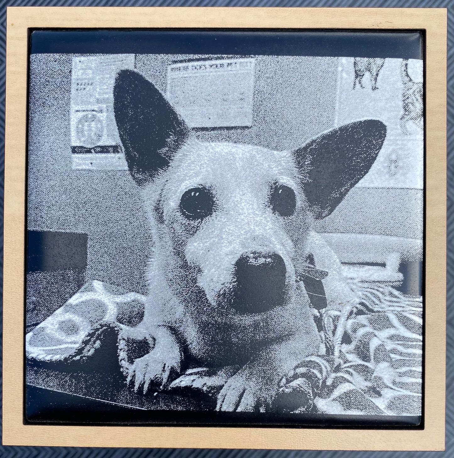 Pet Memorial Urns