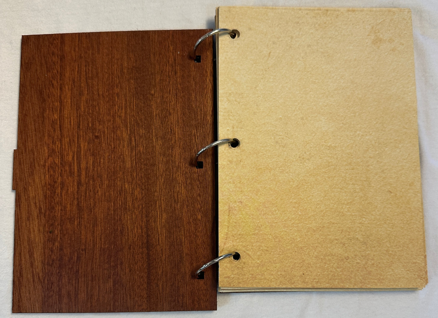 Dragonforge Wyrmkeeper’s Hoard Leather-bound Campaign Journal for Players & DMs